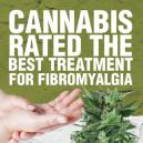 Le cannabis a été évalué meilleur traitement contre la fibromyalgie