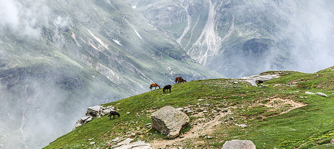 Manali Valley, Inde