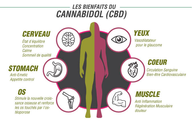 Les Bienfaits du CBD