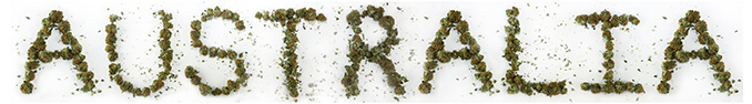 L’Australie A Légalisé La Culture De Cannabis Médical