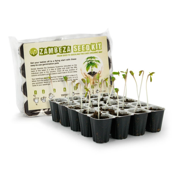 Zambeza Seedkit meilleur cannabis kit germination des graines